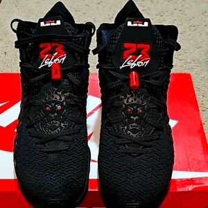 Nike lebron 17